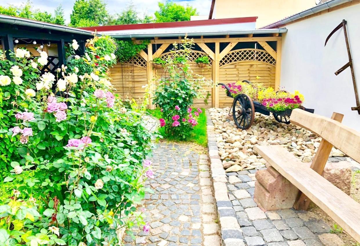 Ferienwohnungen Grimma 1 外观 照片